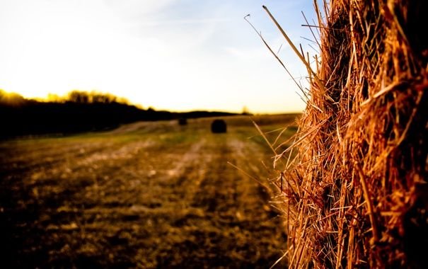 Скирда омёт копна