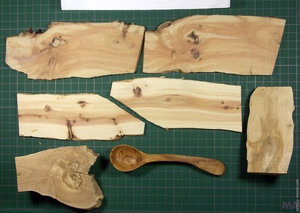 Срез можжевельника