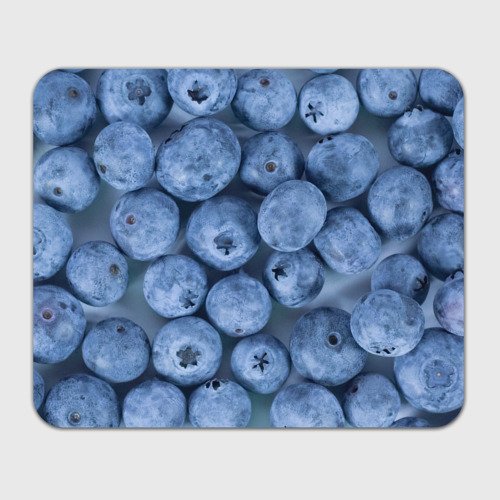 Принт голубика