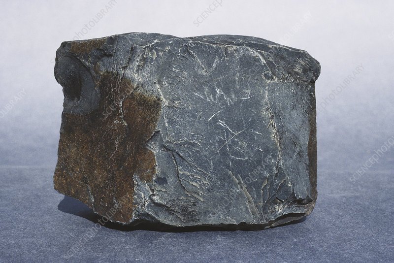 Роговик порода