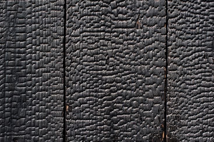 Обугленное дерево