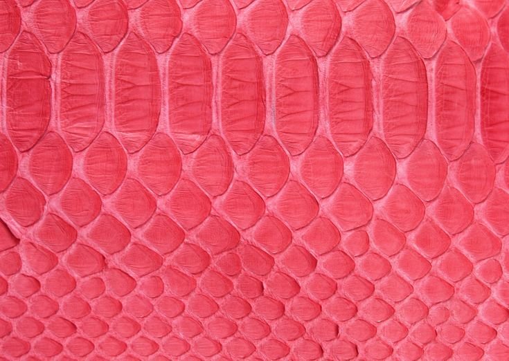 Текстура кожи