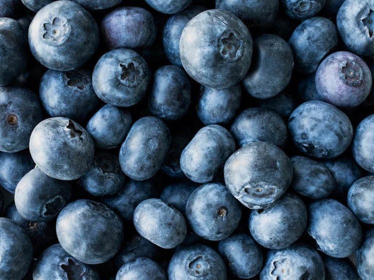 Текстура черники