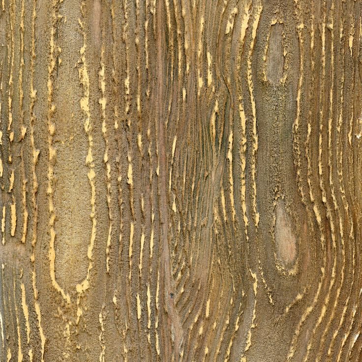 Декоративная штукатурка под дерево