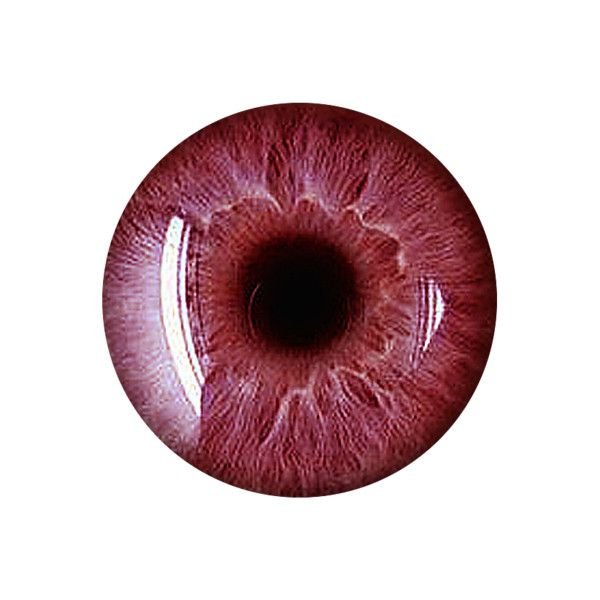 Зрачок без фона