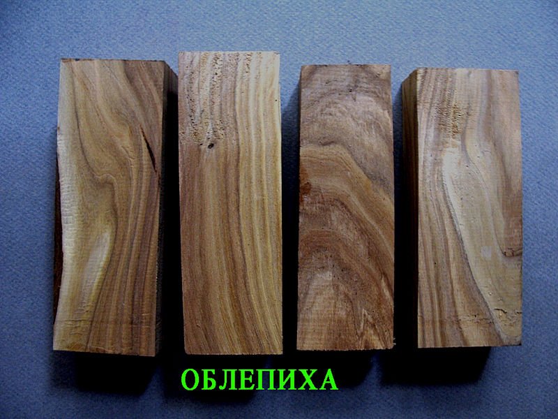 Древесина черемухи