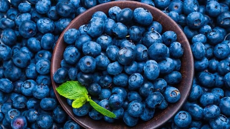 Черника без фона