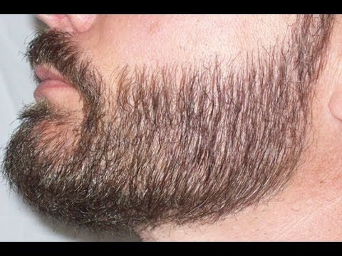 Щетина текстура