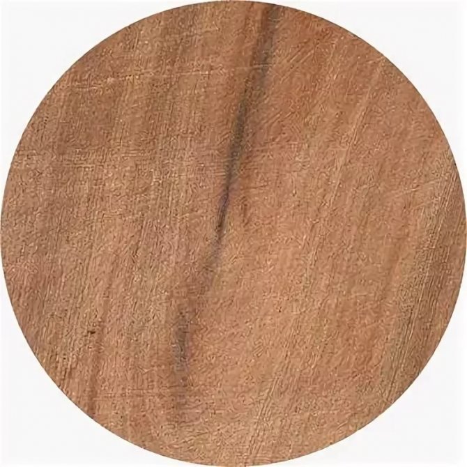 Древесина черемухи