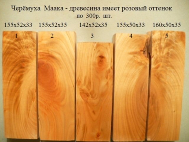Древесина черемухи