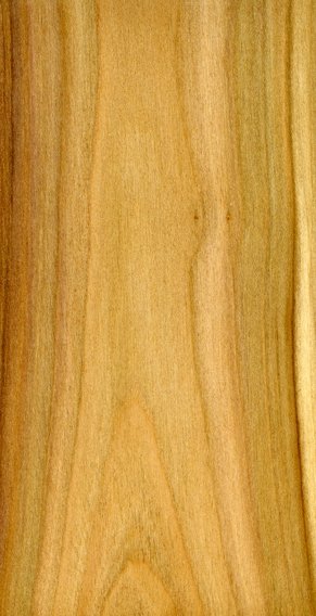 Текстура черемухи древесина