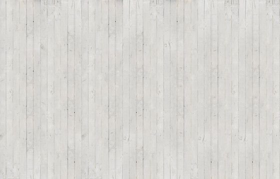 Белое дерево текстура