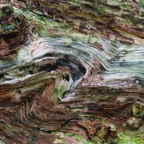 Необычная фактура