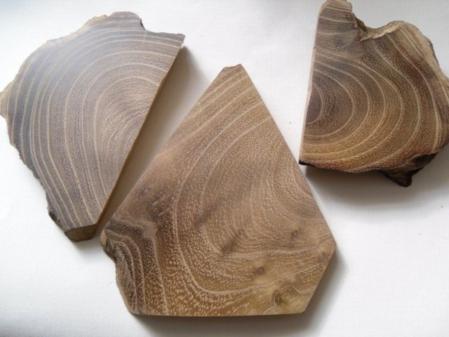 Древесина черемухи