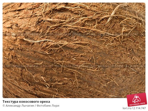 Текстура кокоса
