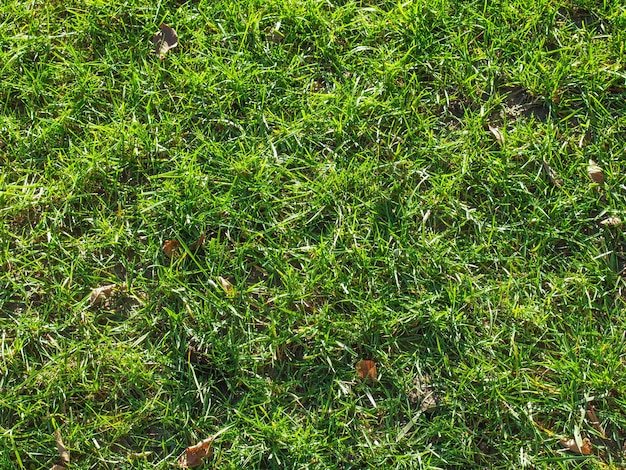 Трава для Юнити 3д