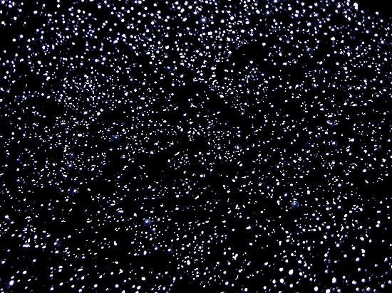 Икра текстура