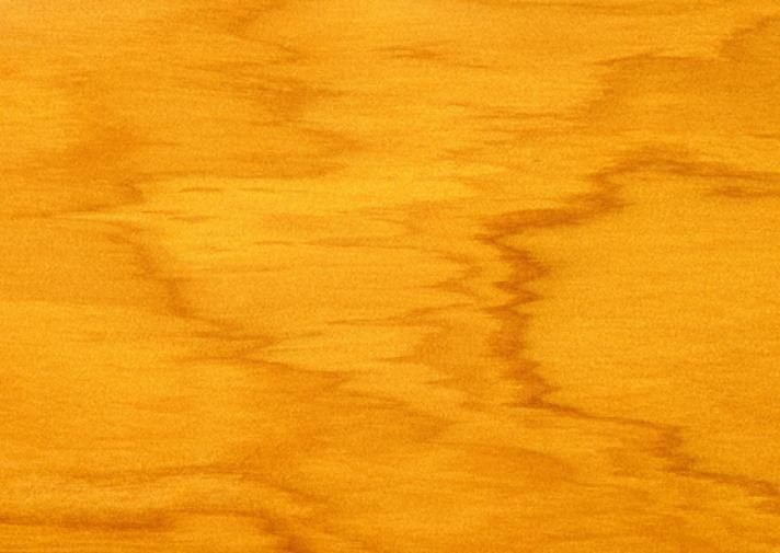 Сосна жёлтая