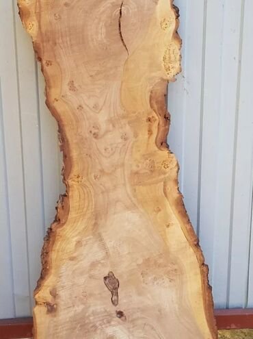 Карагач дерево слэб