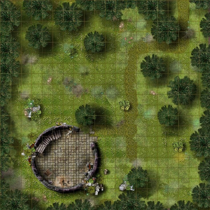Battle Map DND поля
