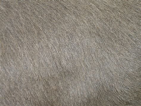 Мех фактура