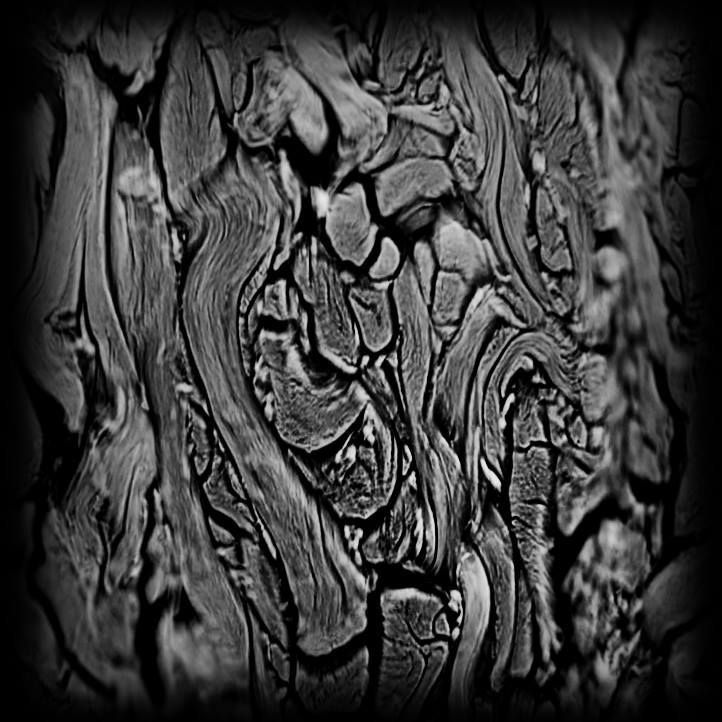 Zbrush альфы древесина