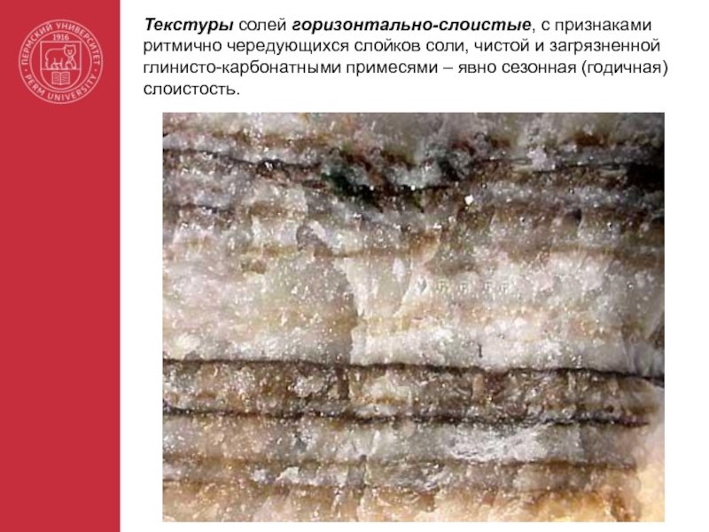 Фосфорит структура и текстура