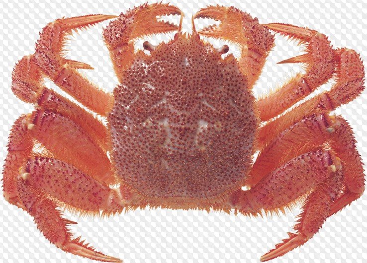 Текстура краба