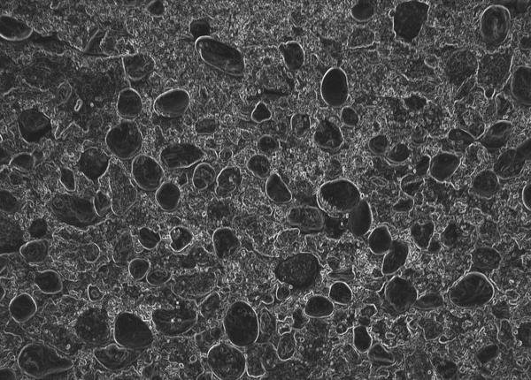 Костная текстура