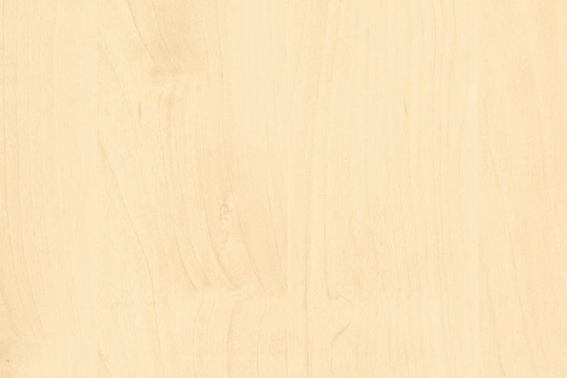 H1733 береза Майнау