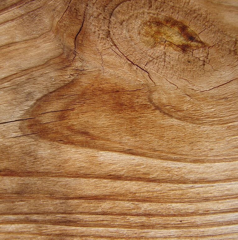 Фактура дерева