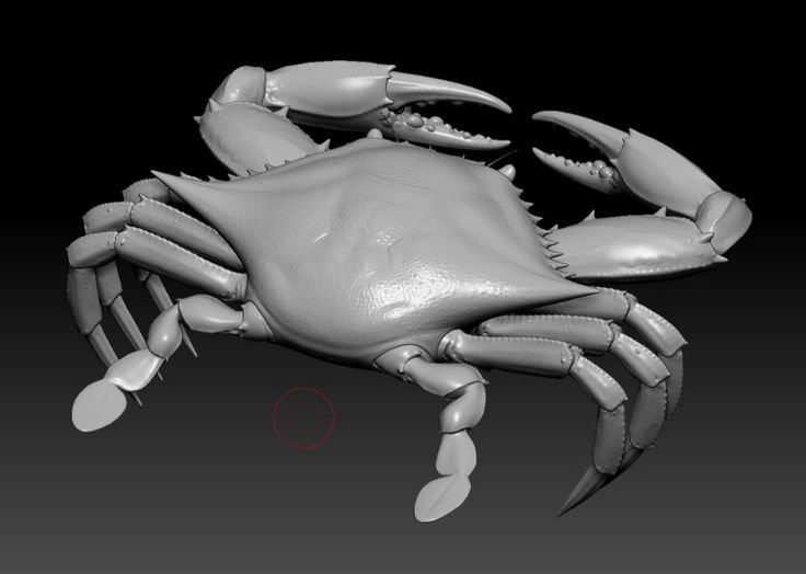 Краб 3д модель