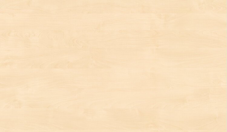 H1733 st9 береза Майнау