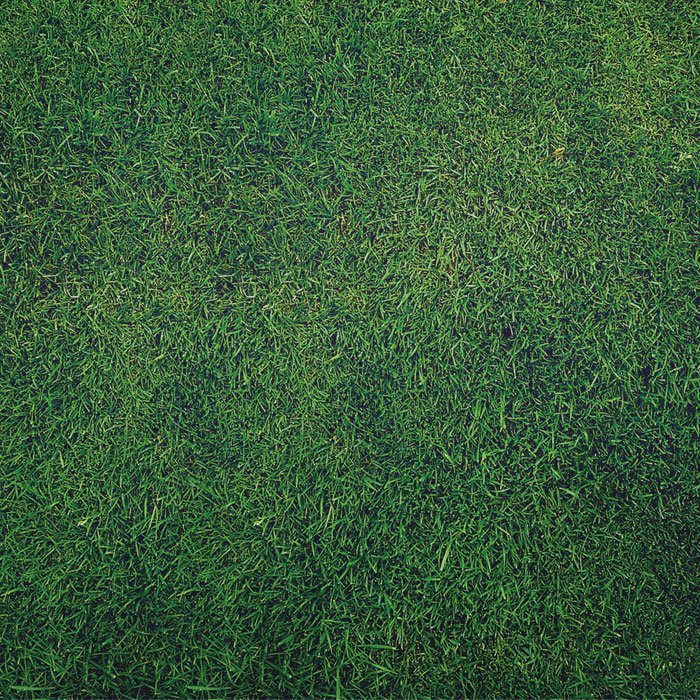 Бесшовная трава 3д Макс