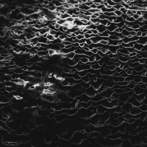 Черно белая текстура