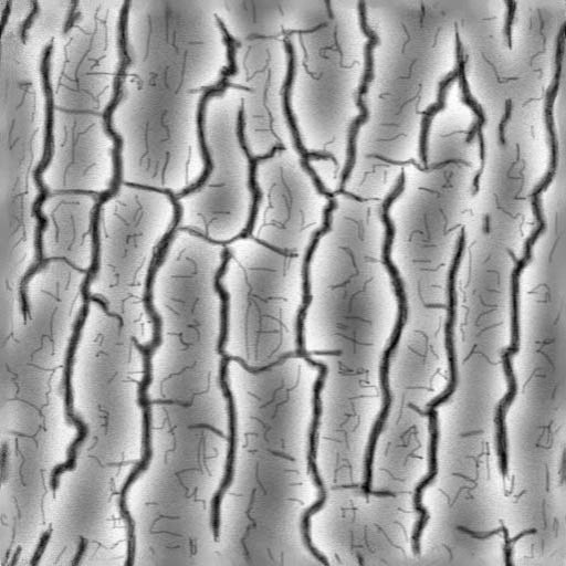 Кора дерева Альфа карта