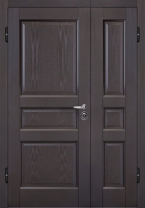 Penta-2 дверь входная