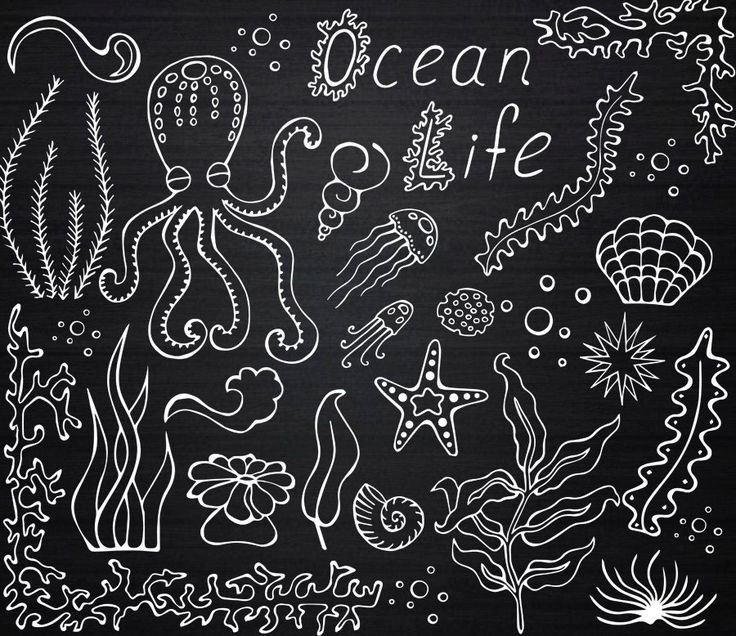 Рисунки мелом на доске