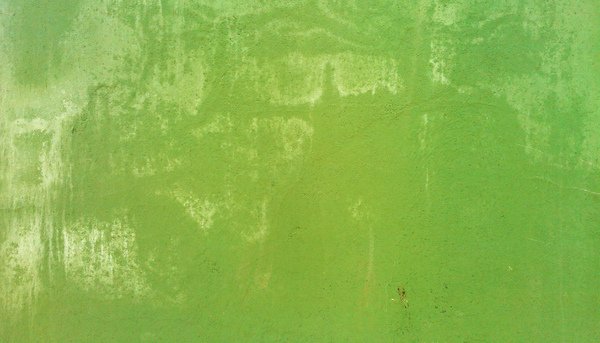 Текстура зелёной краски на металле