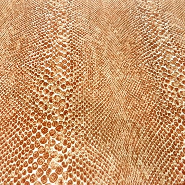 Кожа анаконды