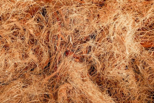 Кокосовое волокно Коконут