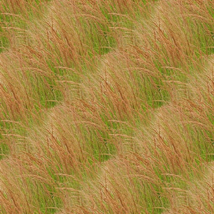 Пожухлая трава