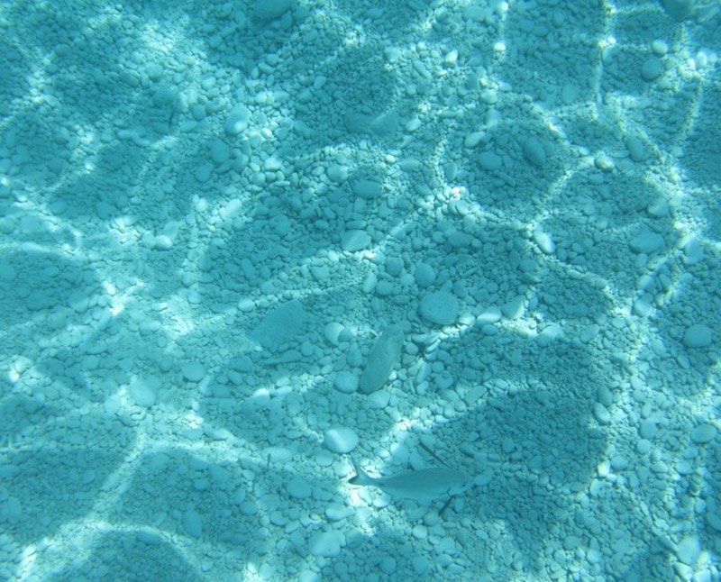 Морское дно текстура