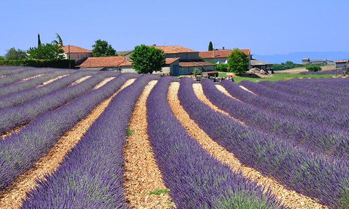 Провинция Провансаль Франция