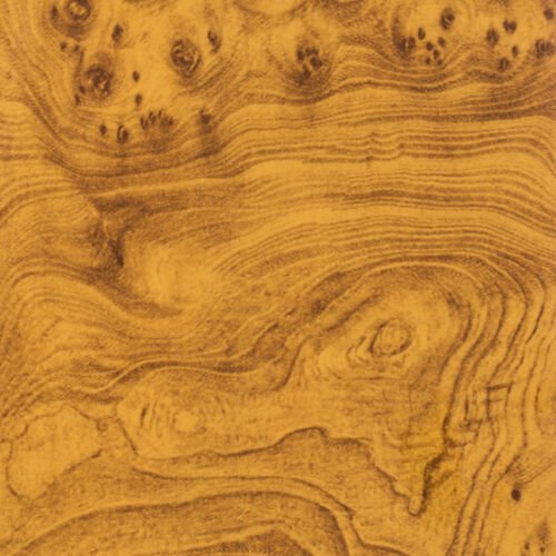 Клен текстура древесины