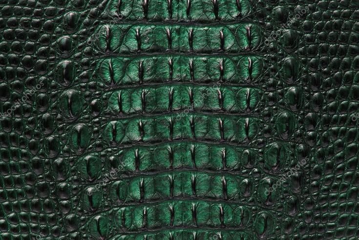 Хермес змеиная кожа зеленая