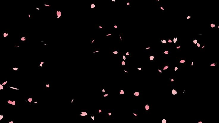 Листья Сакуры