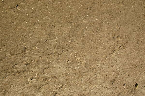 Текстура земли бесшовная 4k