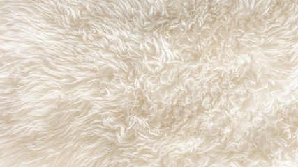 Овечья шерсть текстура