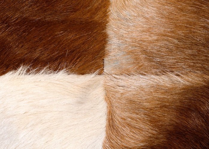 Козья шкура